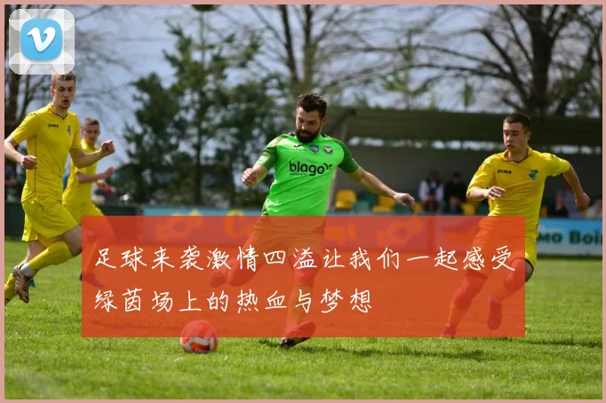 足球来袭激情四溢让我们一起感受绿茵场上的热血与梦想
