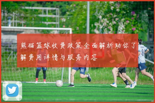 熊猫篮球收费政策全面解析助你了解费用详情与服务内容