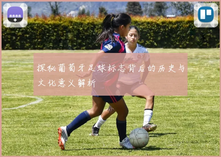探秘葡萄牙足球标志背后的历史与文化意义解析