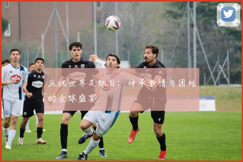 庆祝世界足球日：传承激情与团结的全球盛宴