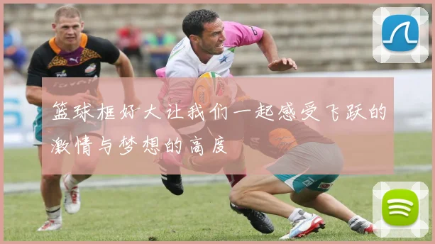 篮球框好大让我们一起感受飞跃的激情与梦想的高度