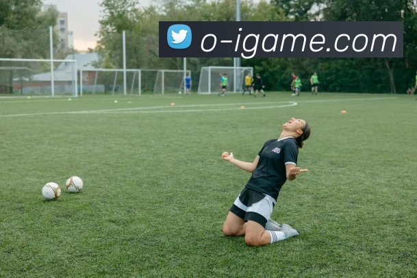 App Interface Preview