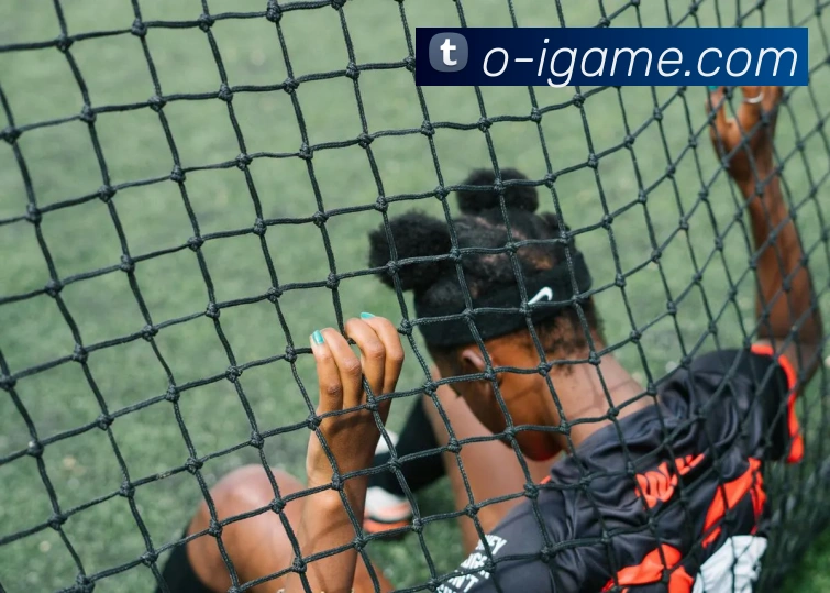 官方下载入口APP 封面图